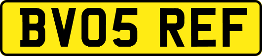 BV05REF