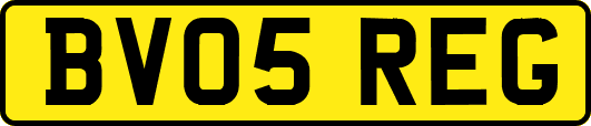 BV05REG