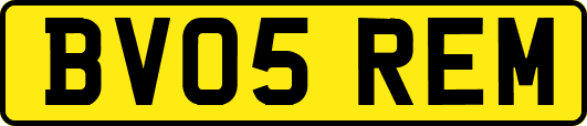 BV05REM