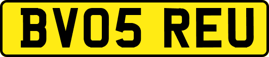 BV05REU