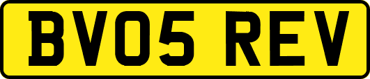 BV05REV