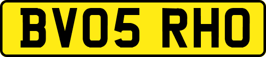 BV05RHO