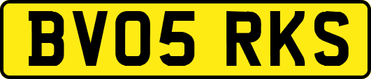 BV05RKS