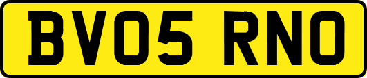 BV05RNO