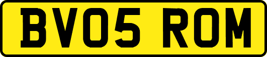 BV05ROM