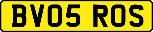 BV05ROS