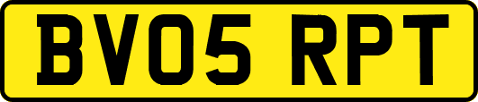 BV05RPT