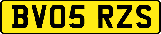 BV05RZS