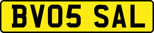 BV05SAL