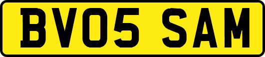 BV05SAM