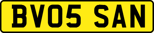BV05SAN