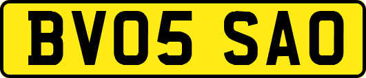 BV05SAO