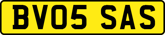 BV05SAS