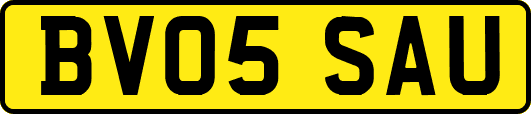 BV05SAU