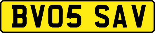BV05SAV