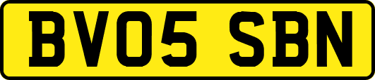BV05SBN
