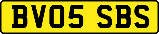 BV05SBS