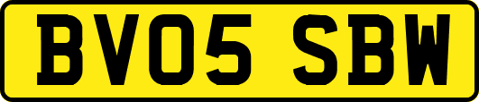 BV05SBW