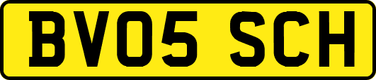 BV05SCH