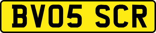 BV05SCR