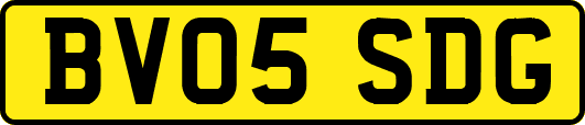 BV05SDG