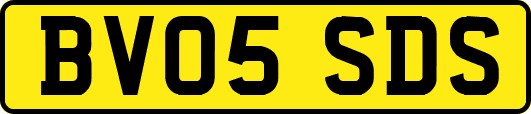 BV05SDS