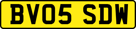 BV05SDW