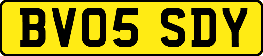 BV05SDY
