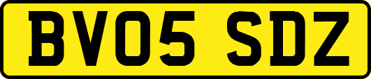 BV05SDZ