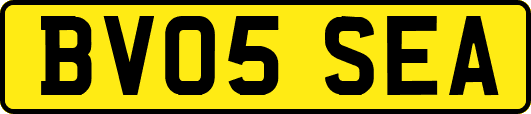 BV05SEA