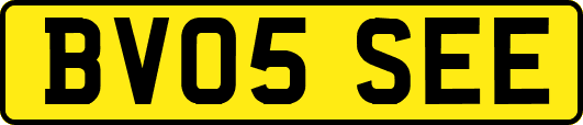 BV05SEE