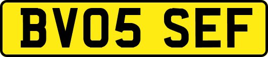 BV05SEF