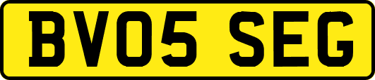BV05SEG