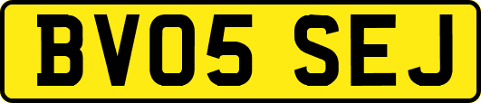 BV05SEJ