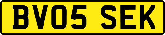 BV05SEK