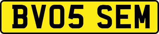 BV05SEM
