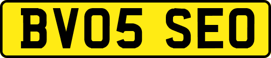 BV05SEO
