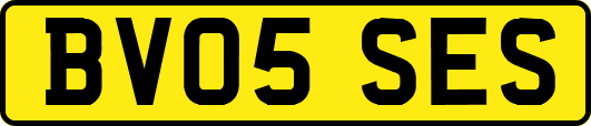BV05SES