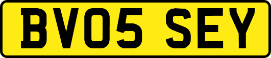 BV05SEY