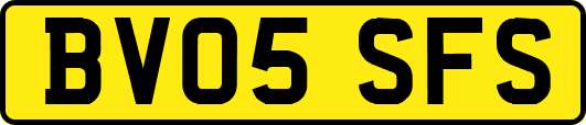 BV05SFS