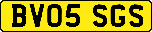 BV05SGS