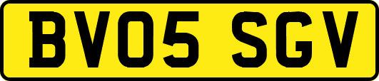 BV05SGV
