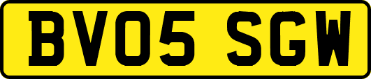 BV05SGW