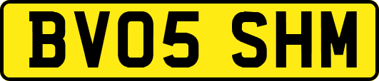 BV05SHM