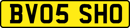 BV05SHO