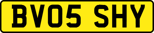 BV05SHY