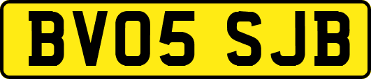 BV05SJB