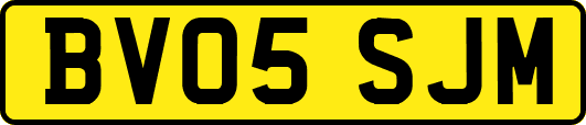 BV05SJM