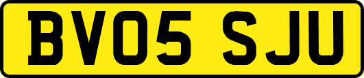 BV05SJU