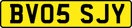 BV05SJY
